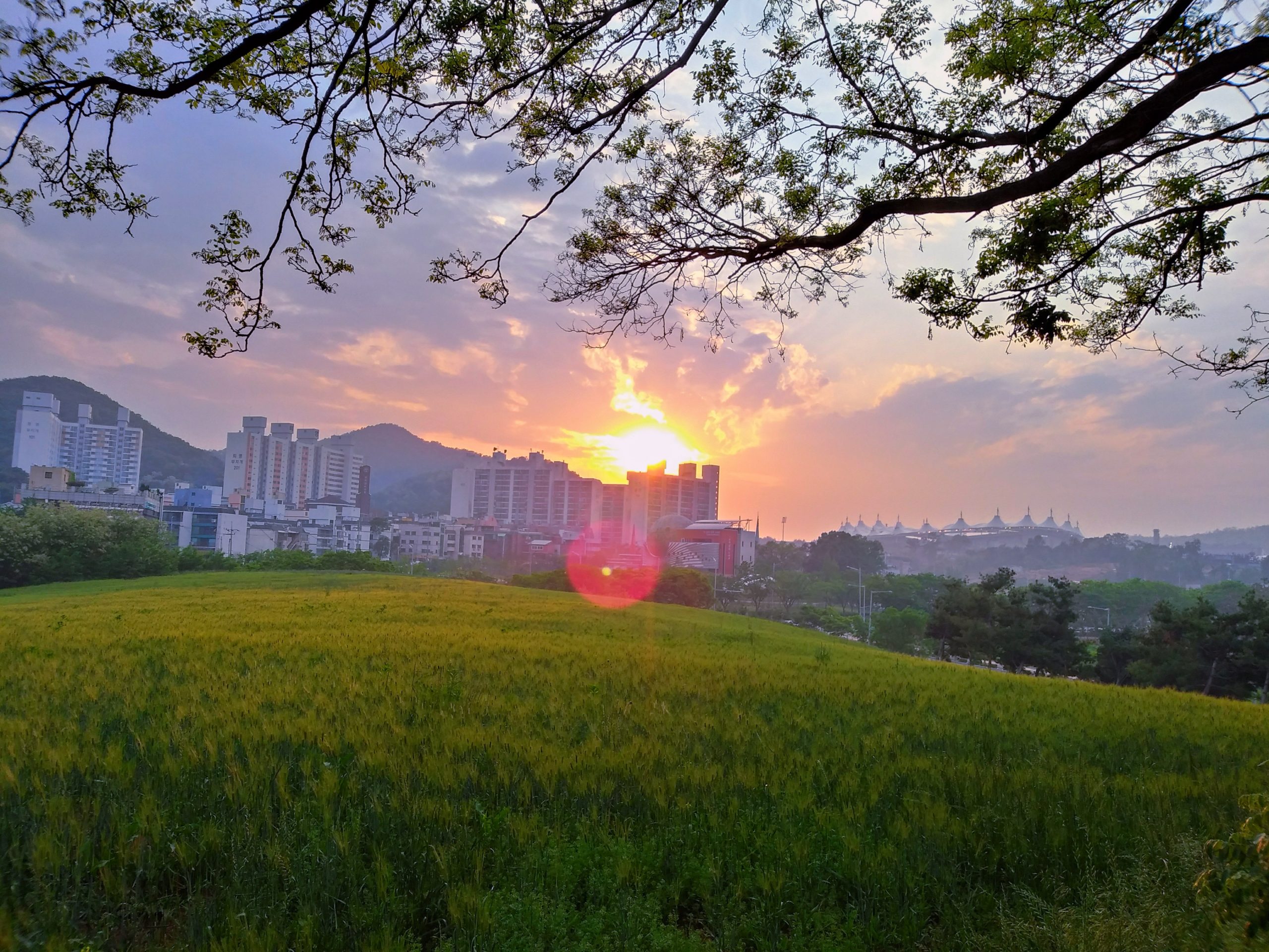 Sunset over Munhak Stadium seen from a park hill in Incheon