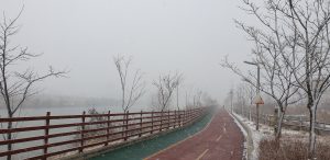 The Ara Waterway cycle path in winter snow, disappearing into the mist