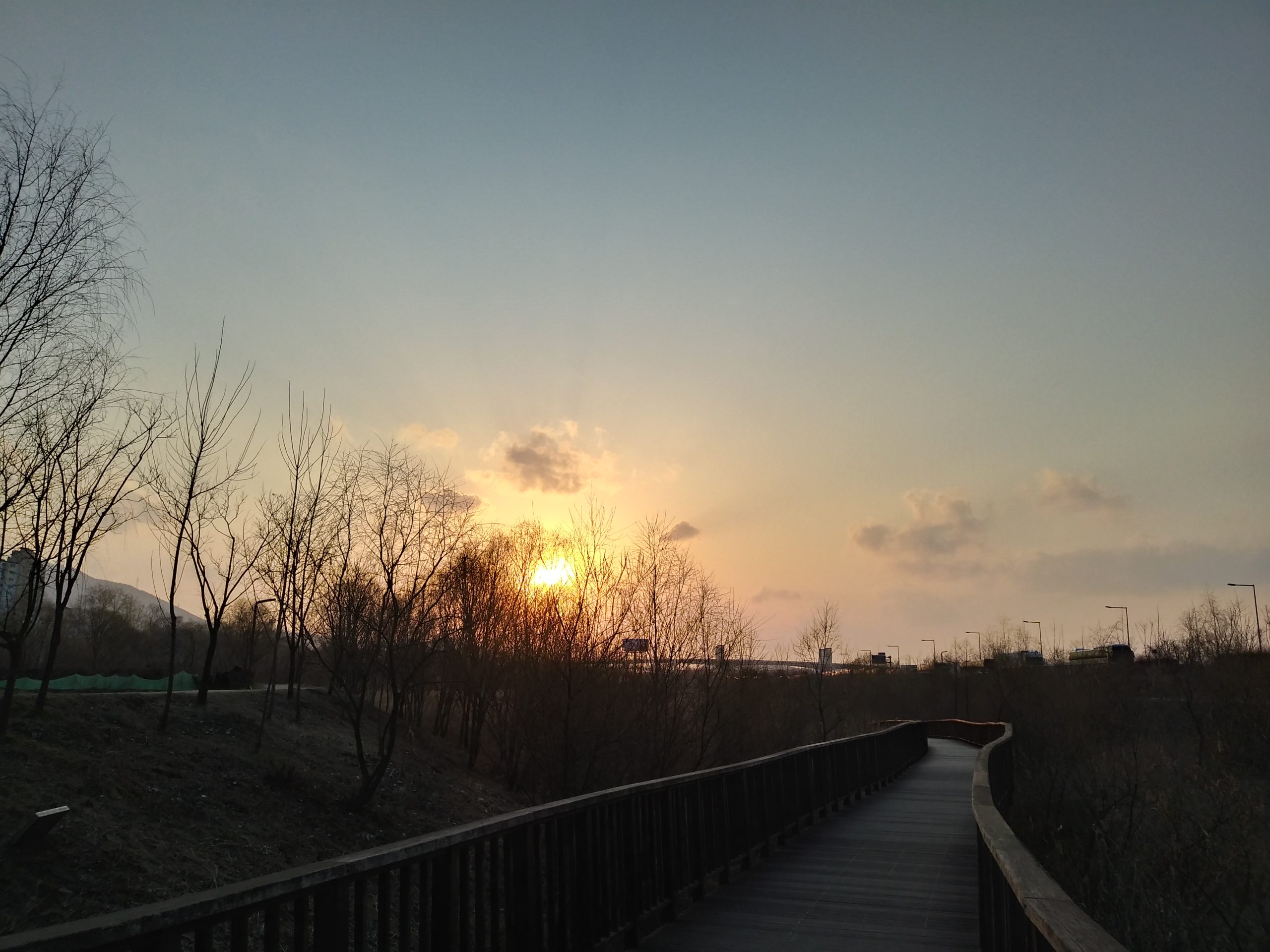 A wooden boardwalk winding through Duri Ecological Park at sunset near the Ara Waterway