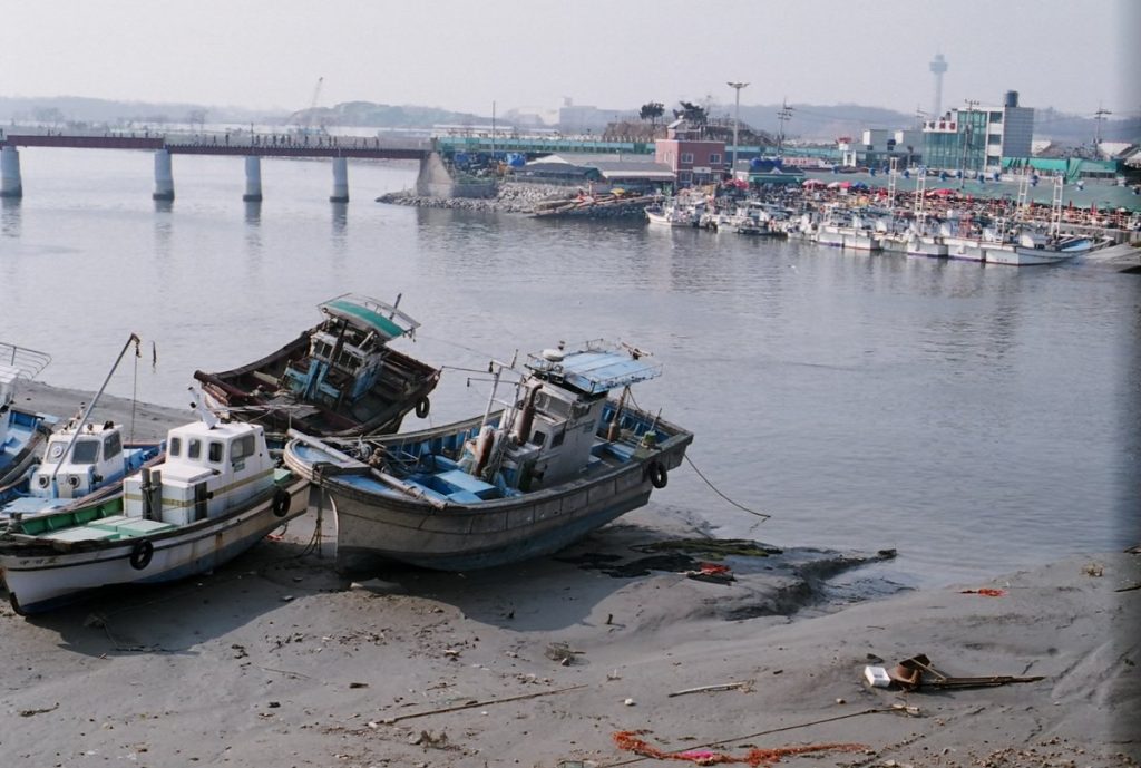 Fishing boats resting on exposed mudflat at low tide with the market quay and moored fleet across the water