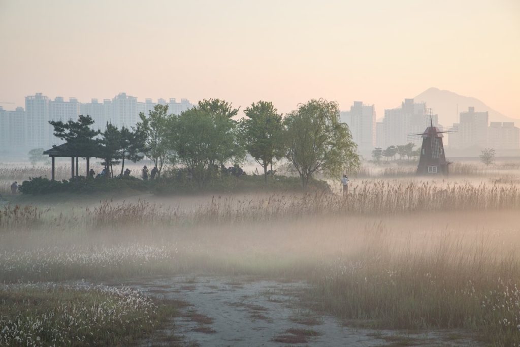Wooden windmill and pavilion rising from misty reed beds with apartment towers on the horizon