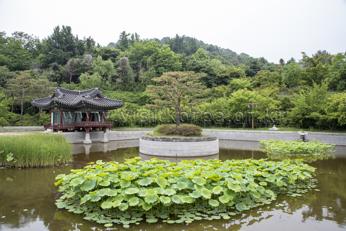 There is a pavilion rest area in Wolmi Park, and lotus flowers in the center of the pond.