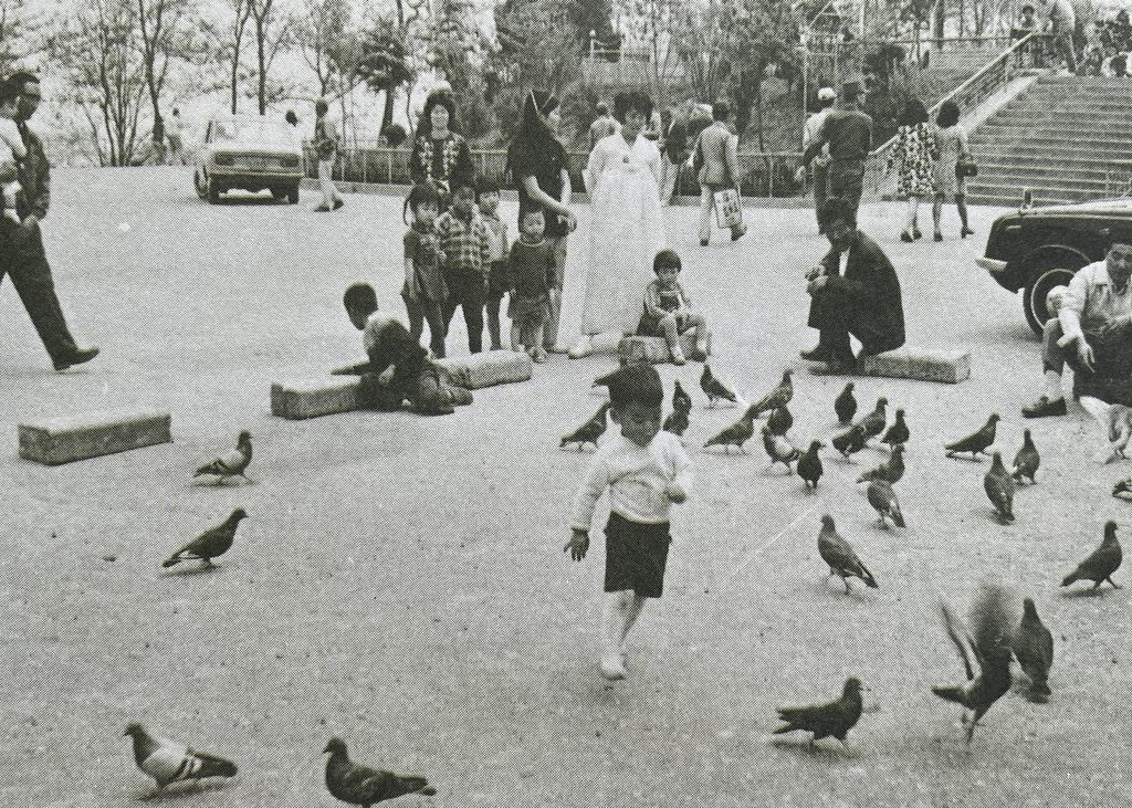 Black-and-white photo of children and pigeons on the Jayu Park plaza in 1971