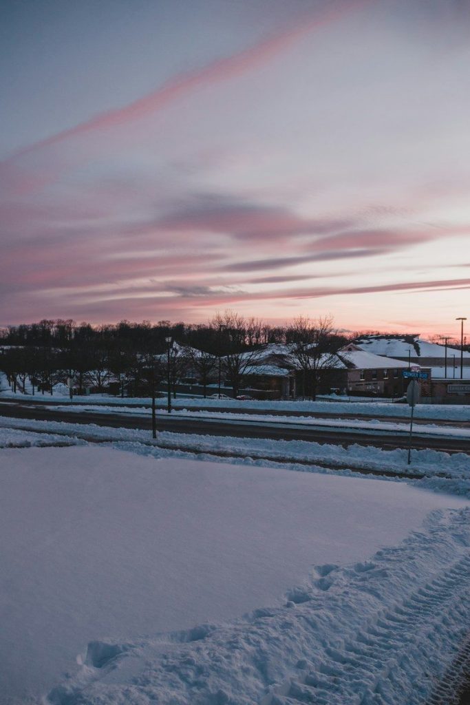 A dry, empty rice paddy in winter with low buildings in the distance