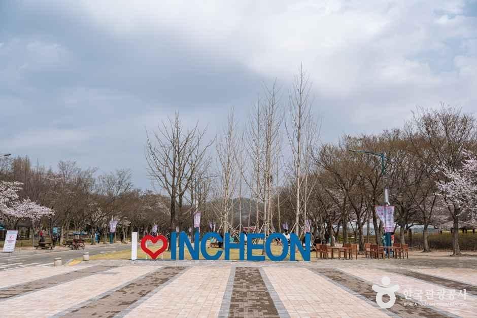 Blue I love Incheon sign on a wide paved plaza at Incheon Grand Park with cherry trees in early bloom