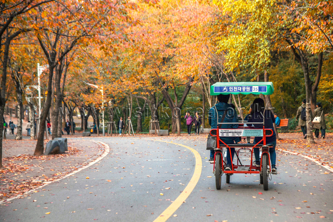 Visitors riding a multi-seat bicycle along a curving road lined with autumn trees in Incheon Grand Park