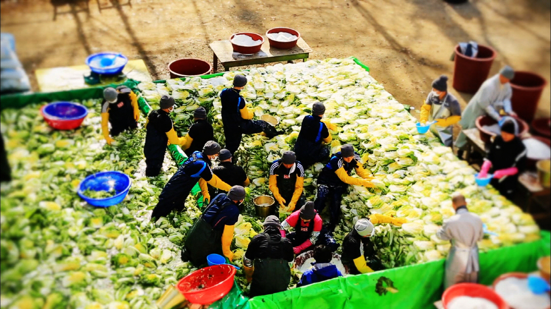 People sitting together around a large mat spreading red seasoning onto salted napa cabbage during kimjang in Korea